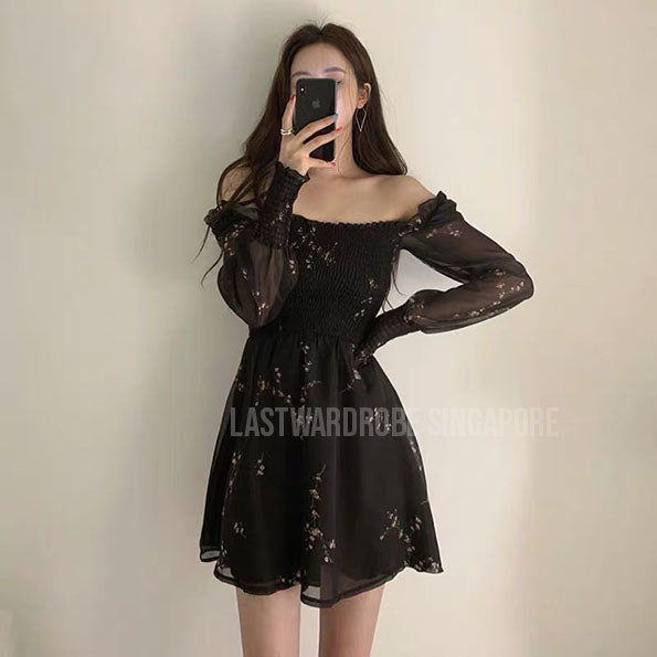 Korean Jillian Sheer Sleeve Princess Dress